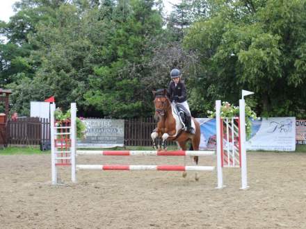 Zawody Jeździeckie w Pruchnej 13.08.2016