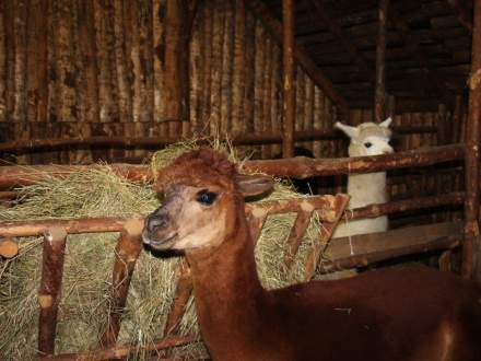 Strumieńskie Betlejem