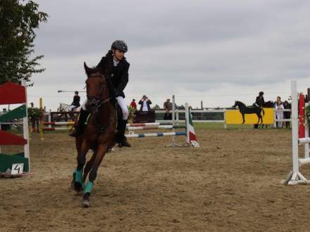 Zawody Jeździeckie w Pruchnej 13.08.2016