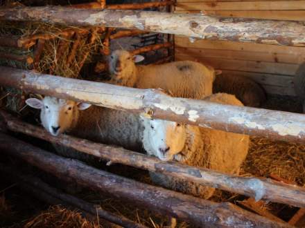 Strumieńskie Betlejem