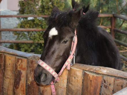 Strumieńskie Betlejem