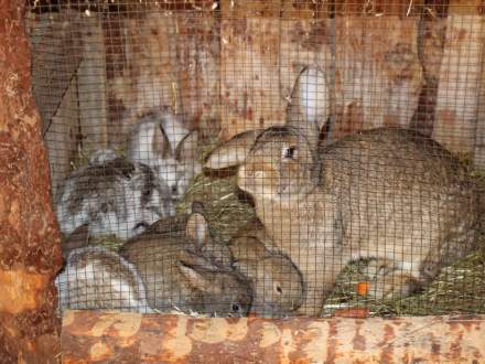 Strumieńskie Betlejem