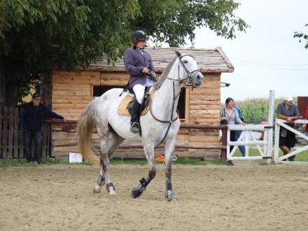 Zawody Jeździeckie w Pruchnej 13.08.2016