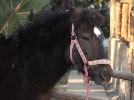 Strumieńskie Betlejem