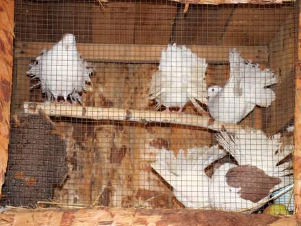 Strumieńskie Betlejem