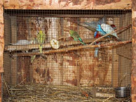 Strumieńskie Betlejem