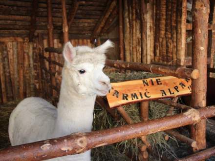 Strumieńskie Betlejem