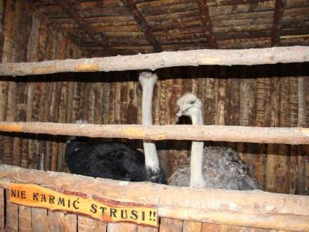 Strumieńskie Betlejem