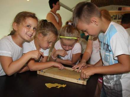 Zakończyła się Wystawa Pszczelarska w Galerii Pod Ratuszem