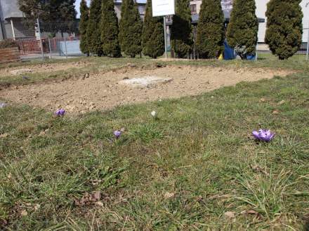 Budowa Siłowni przy GCIW w Pruchnej