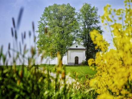 Kapliczka św. Józefa w Pruchnej fot. Anna Kopeć
