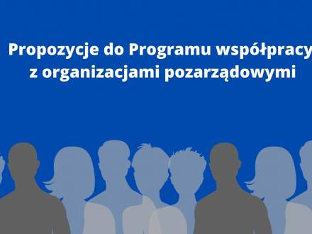 Propozycje do Programu współpracy z organizacjami pozarządowymi