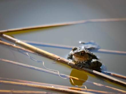 Wystawa fotografii Tomasza Donocika
