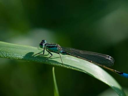 Wystawa fotografii Tomasza Donocika