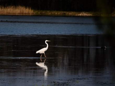 Wystawa fotografii Tomasza Donocika