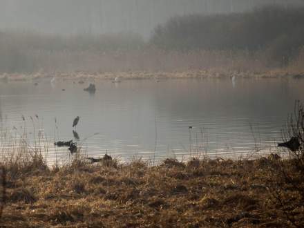 Wystawa fotografii Tomasza Donocika