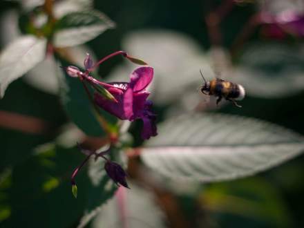 Wystawa fotografii Tomasza Donocika