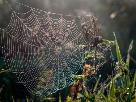 Wystawa fotografii Tomasza Donocika