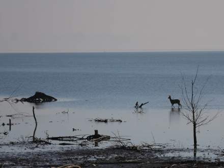 Wystawa fotografii Tomasza Donocika