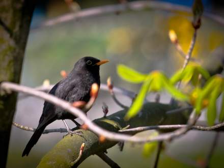 Wystawa fotografii Tomasza Donocika