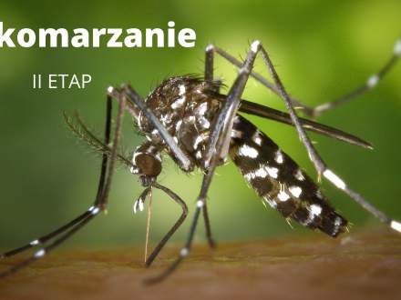 Odkomarzanie w gminie Strumień - II etap