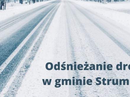 Odśnieżanie dróg - grafika