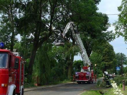 Skutki nawałnicy w gminie Strumień