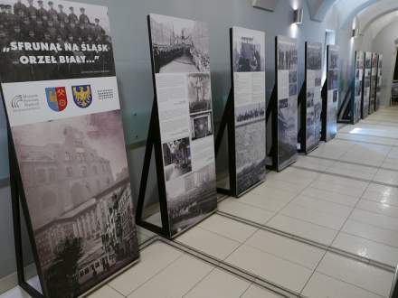 Wystawa w holu ratusza