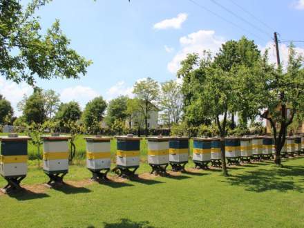 Zapraszamy na spotkanie