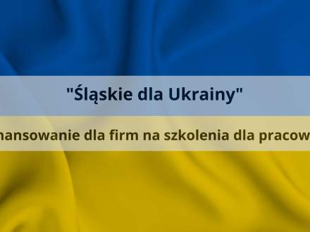 Śląskie dla Ukrainy - dofinansowanie dla firm na szkolenia dla pracowników