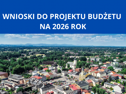 Grafika-Wnioski do projektu budżetu na 2025 rok