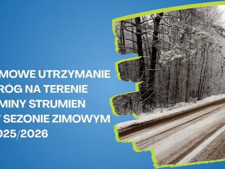 Zimowe utrzymanie dróg
