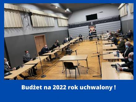 Budżet na 2022 rok uchwalony - grafika