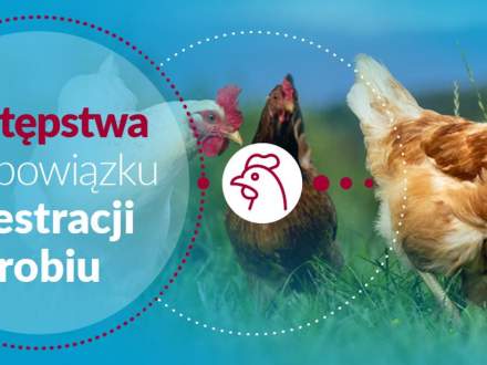 Odstępstwa od obowiązku rejestracji drobiu źródło: Ministerstwo Rolnictwa i Rozwoju Wsi