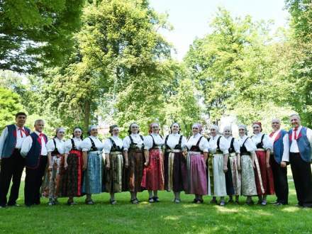 Zespół Regionalny Strumień