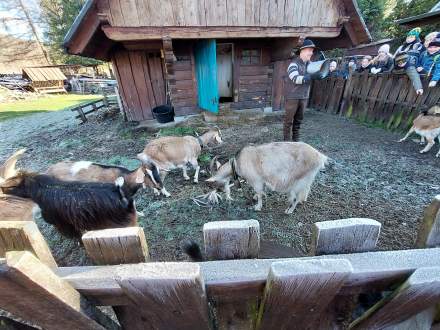 Warsztaty uczniów w Koziej Zagrodzie w Brennej
