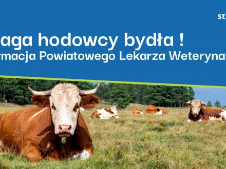 Uwaga hodowcy bydła - Informacja Powiatowego Lekarza Weterynarii