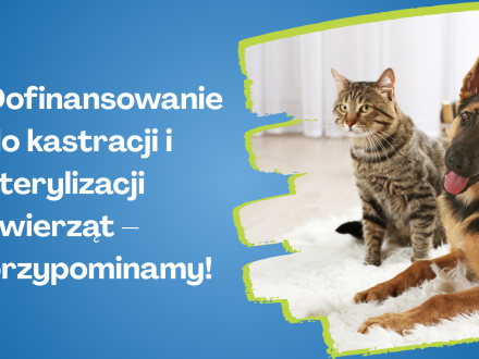 Dofinansowanie do kastracji i sterylizacji zwierząt - przypominamy