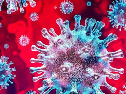 Koronawirus
