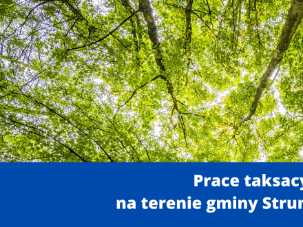 Prace taksacyjne na terenie gminy Strumień