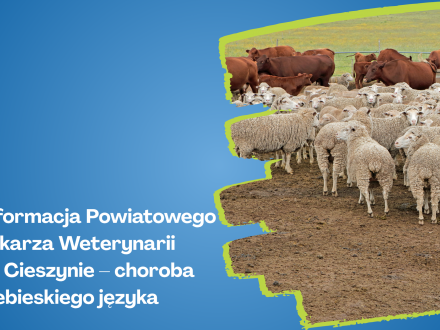 Grafika - Informacja Powiatowego Lekarza Weterynarii