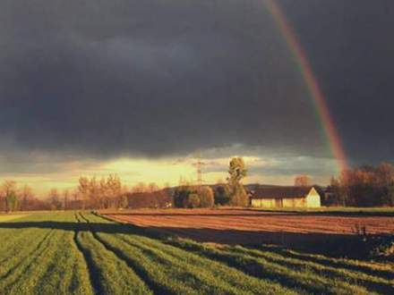 źródło: solectwozbytkow.pl