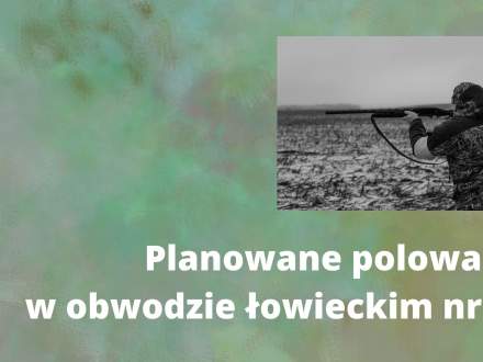 polowanie w obwodzie łowieckim nr 169 - grafika