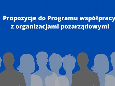Grafika - propozycje do Programu współpracy z organizacjami pozarządowymi
