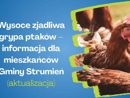 Wysocje zjadliwa grypa ptaków - informacja dla mieszkańców Gminy Strumień - aktualizacja