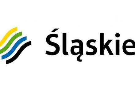 Inicjatywa Sołecka 2020