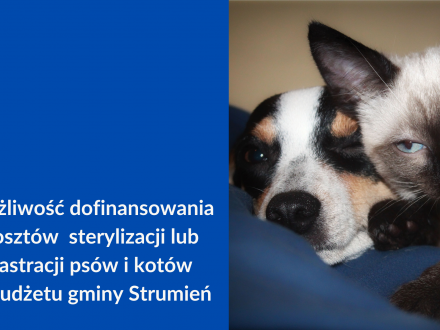 Ogłoszenie o naborze wniosków o dofinansowanie zabiegów sterylizacji lub kastracji psów i kotów ze środków budżetu gminy Strumień