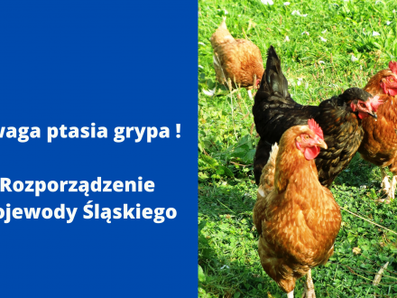 Uwaga ptasia grypa. Rozporządzenie Wojewody Śląskiego