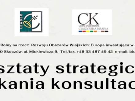 Warsztaty strategiczne/ spotkanie konsultacyjne