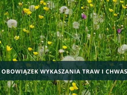 Obowiązek wykaszania traw i chastów